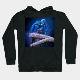 When I'm feeling Blue Hoodie